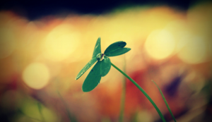 中亚元老出击：图什巴希劲旅欲重整旗鼓