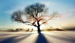 中亚元老出击：图什巴希劲旅欲重整旗鼓